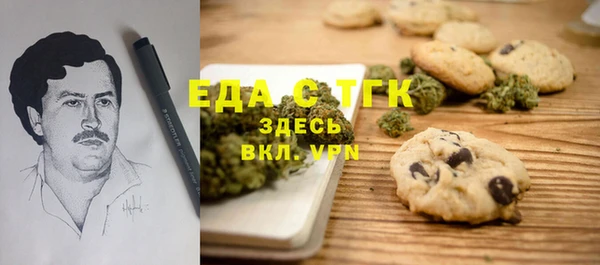 ECSTASY Алзамай