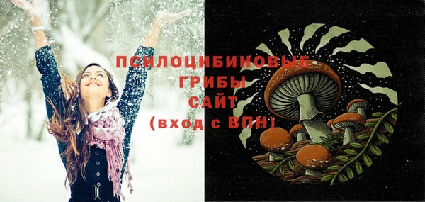 ECSTASY Алзамай