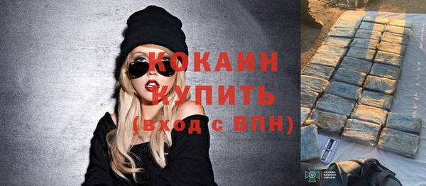 ECSTASY Алзамай