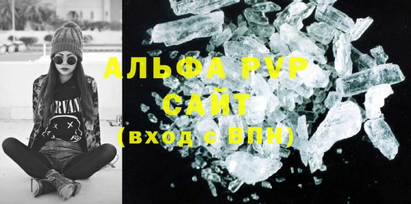 ECSTASY Алзамай