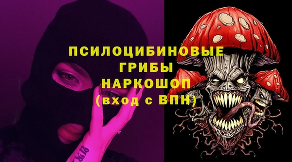 тгк Алексин