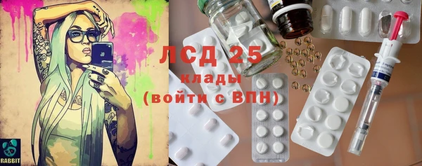 ECSTASY Алзамай