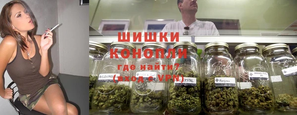 прущие грибы Аркадак