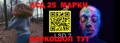 крисы Аргун