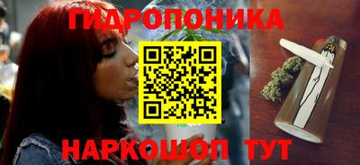 твердый Будённовск