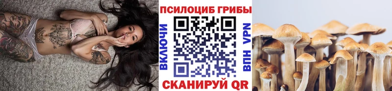 Галлюциногенные грибы Magic Shrooms  где купить наркоту  Выкса 