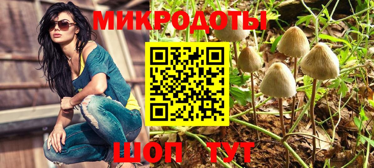 Псилоцибиновые грибы Magic Shrooms  где купить наркоту  Выкса  Вход с VPN 