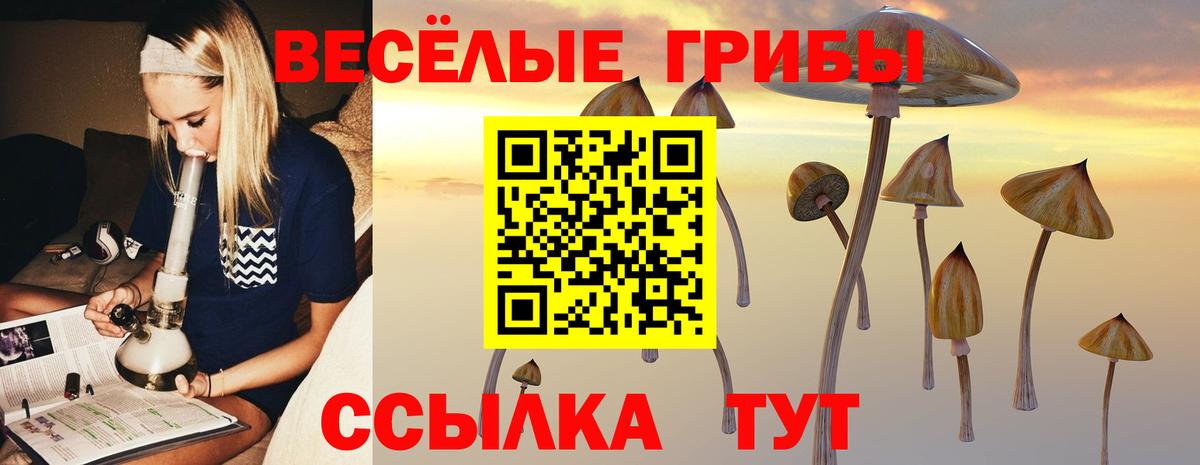 ГАШ  Альфа ПВП СОЛЬ   ЭКСТАЗИ  МЕФ кристаллы  Лсд 25  Выкса  Мефедрон   Cocaine  НБОМе 